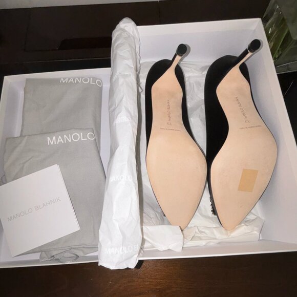 (Sold elsewhere) Manolo Blahnik Hangisi Pumps - Picture 3 of 5
